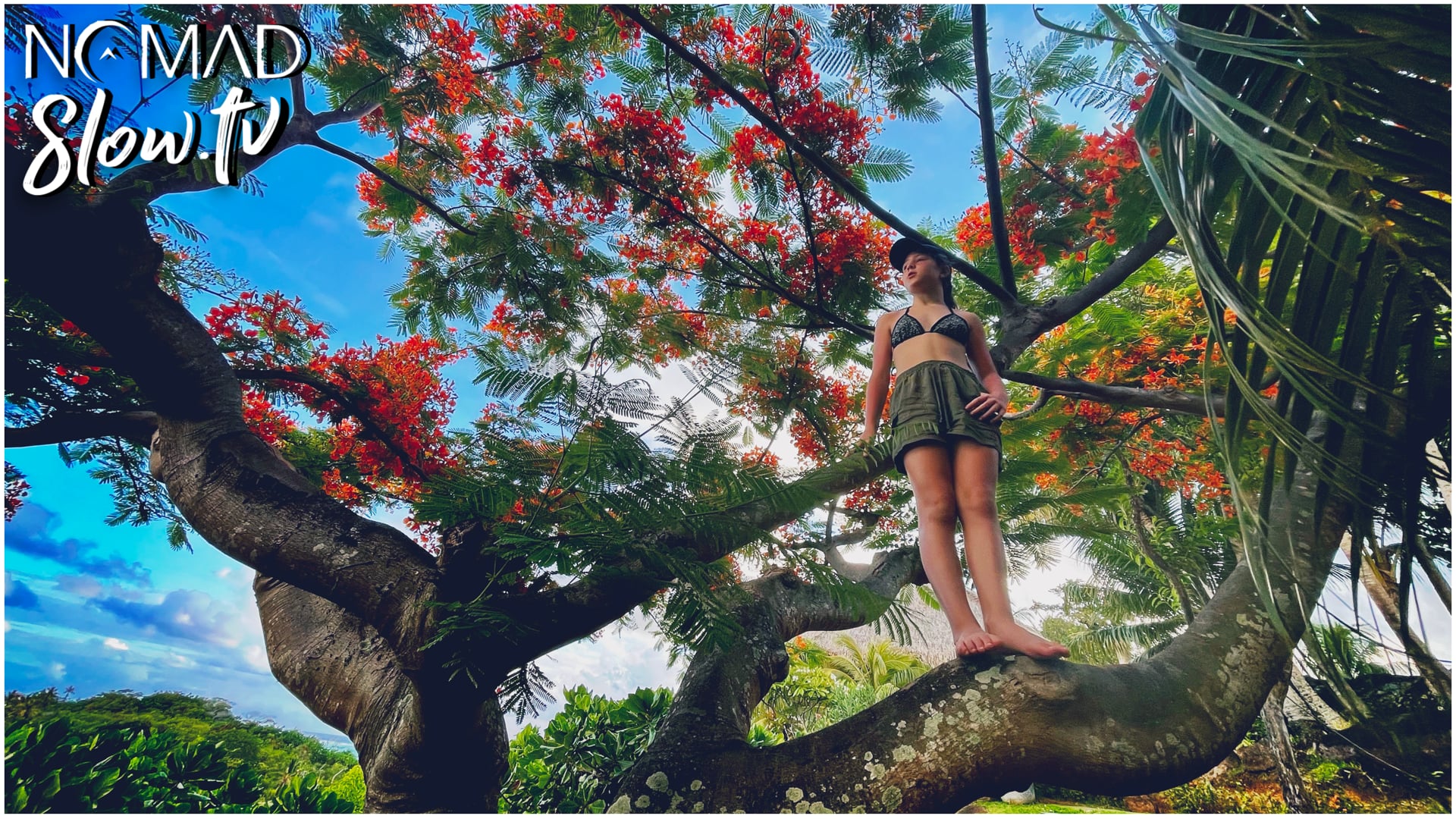 Bora Bora 10 - AliX Tree Climb