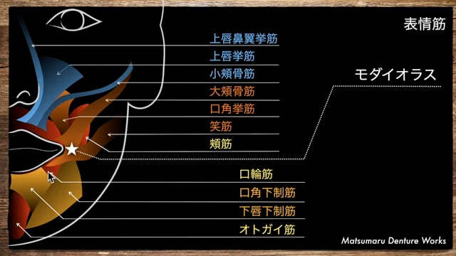 #3 全部床義歯製作に活かす解剖学 後編 ＆ トークセッション