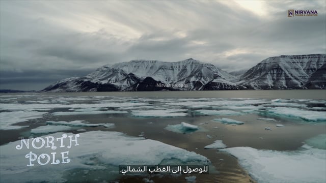 Nirvana Tours and Logistics - Customer Sucess Story