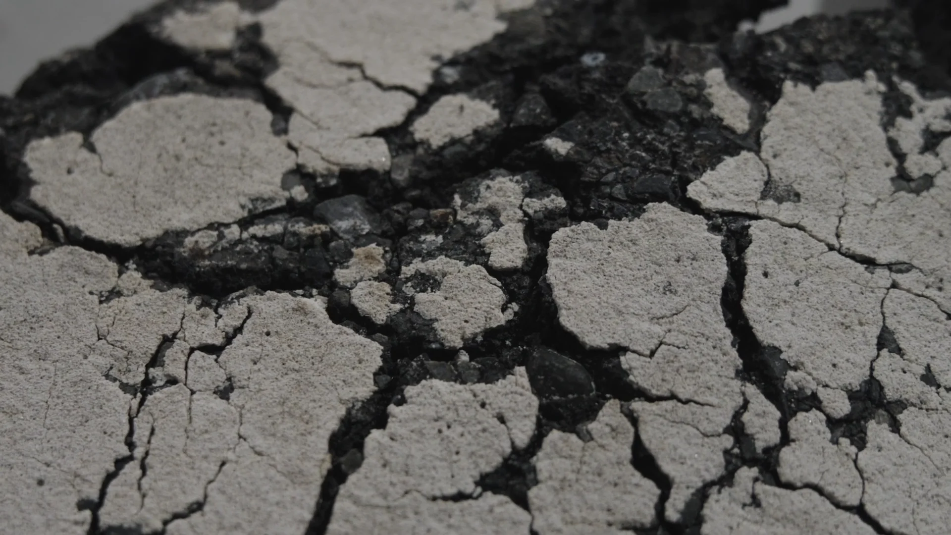 限定500部　初版・サイン本　鈴木ヒラク　鉱物探し Ocean and Signs 01-16, 2025 Silver ink, pigment, earth and