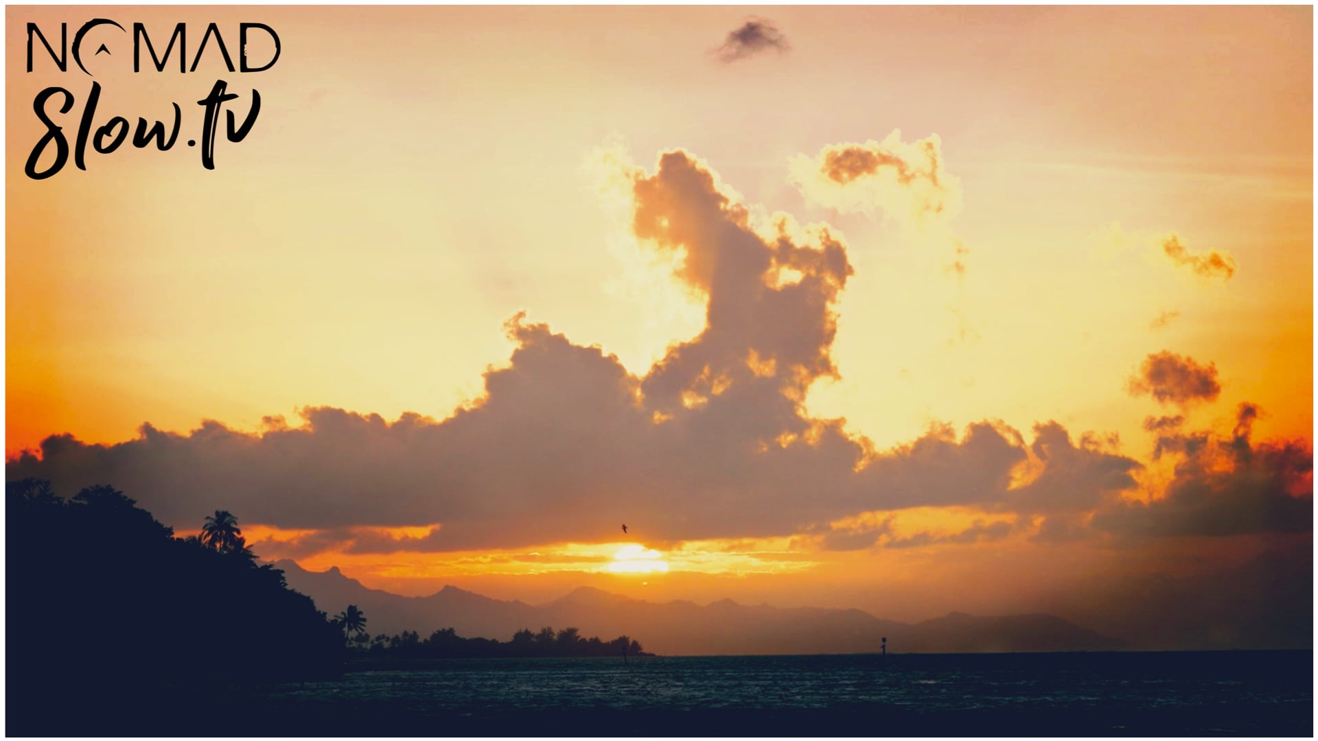 Bora Bora 13 - AlectriX