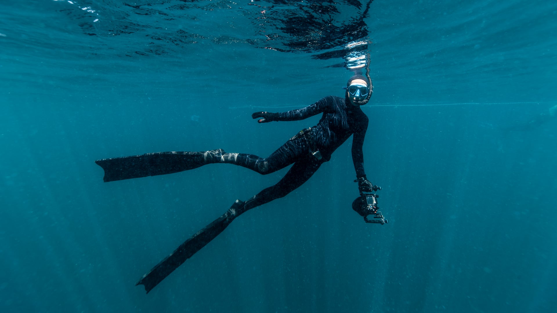 FERNANDA for Latitude Encounters