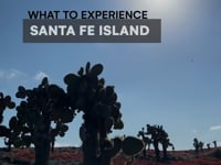 Santa Fe Island - Galapagos with G Adventures