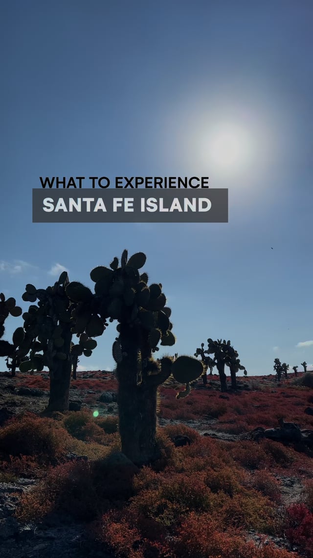 Santa Fe Island - Galapagos with G Adventures