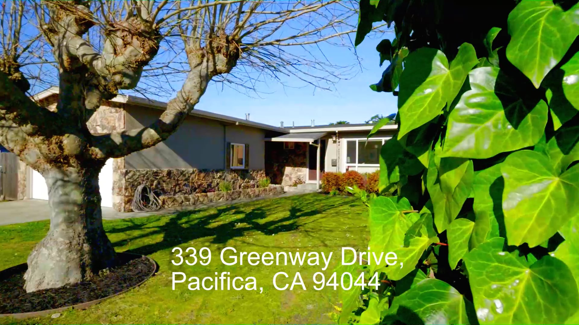 339-greenway-pacifica-339-greenway-dr-pacifica-ca-94044-mp4-on-vimeo