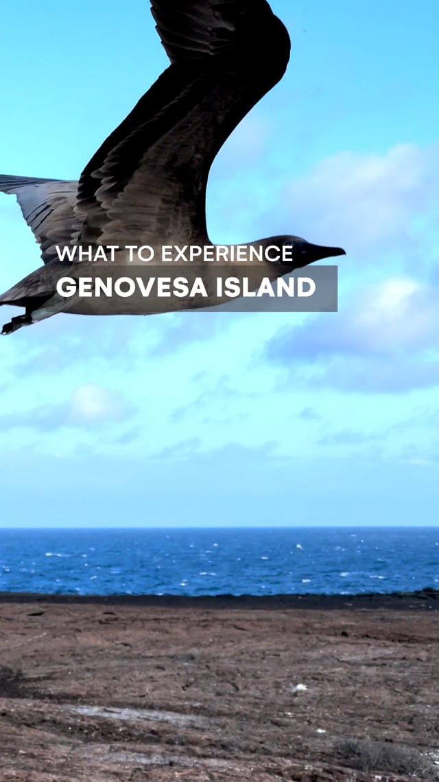 Genovesa Island - Galapagos with G Adventures