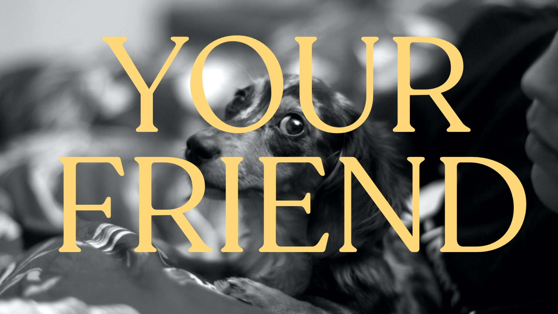 Your Friend