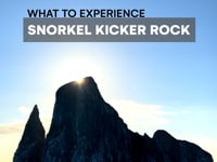 Kicker Rock Snorkelling - Galapagos with G Adventures