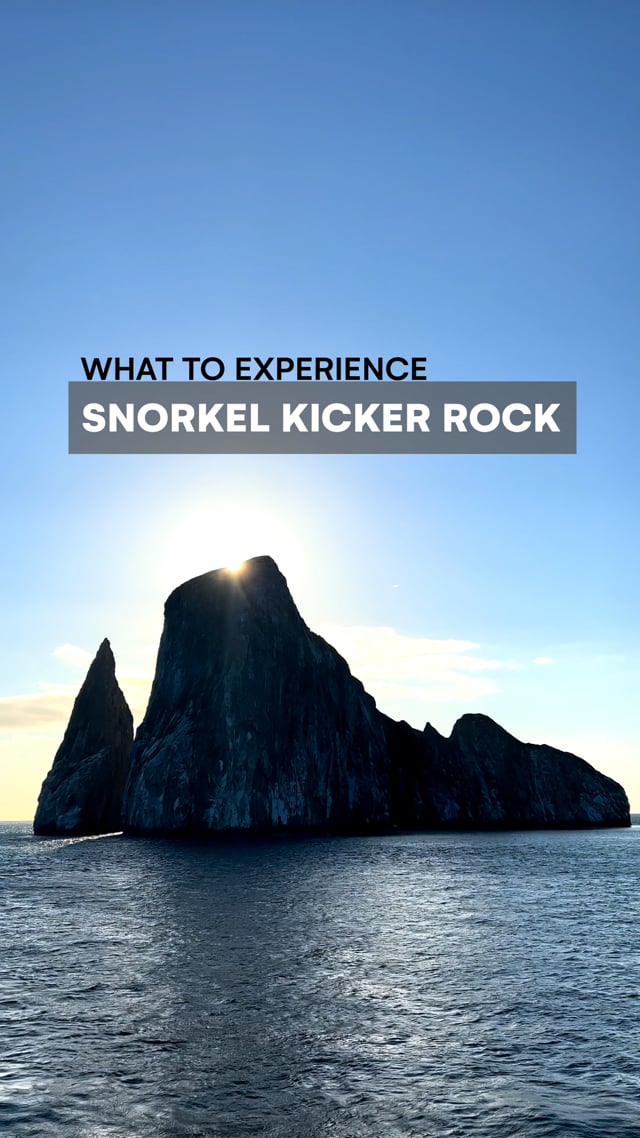 Kicker Rock Snorkelling - Galapagos with G Adventures