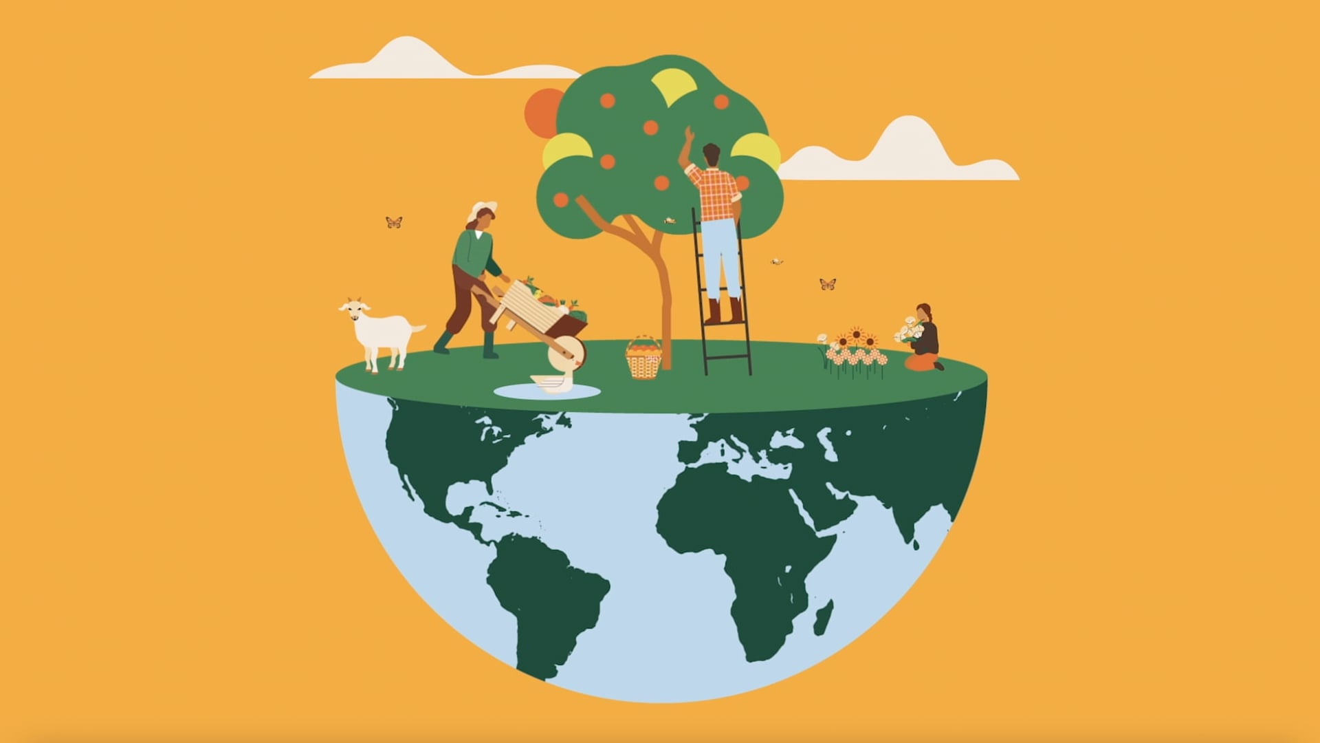 Integración de la biodiversidad