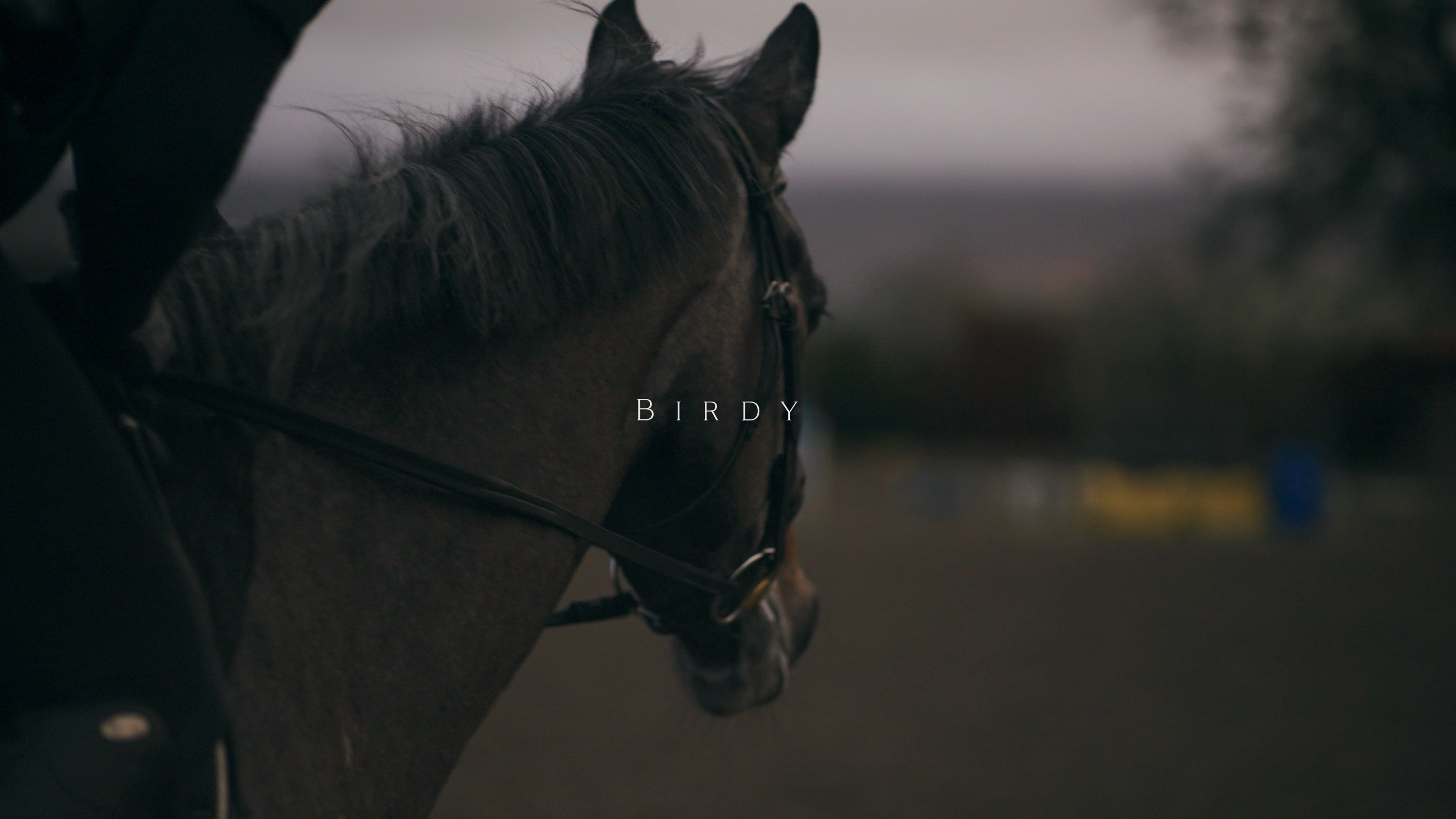 Horse Riding | Cinematic Short Film