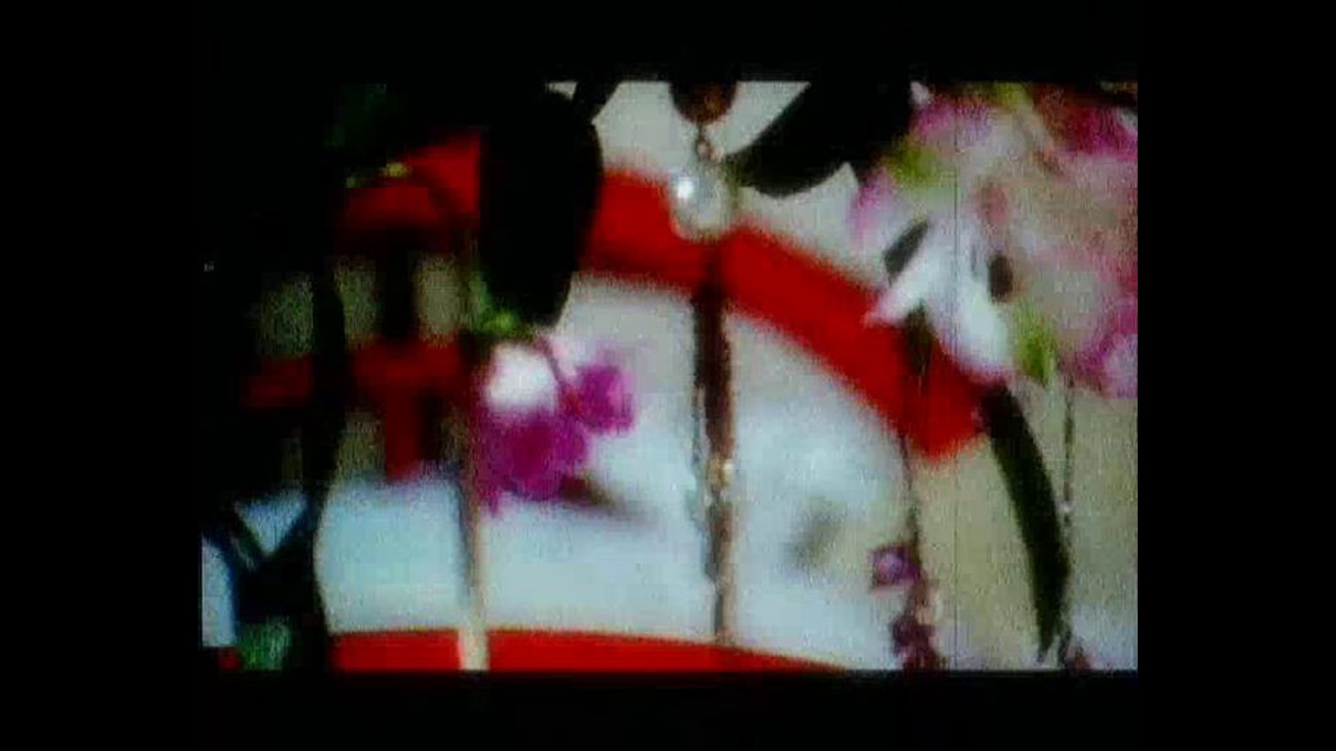 Sophie's Garden (2005)