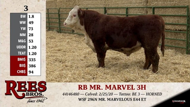 Lot #3 - RB MR MARVEL 3H