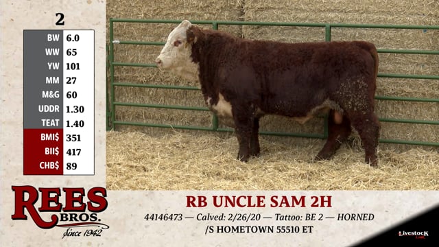 Lot #2 - RB UNCLE SAM 2H