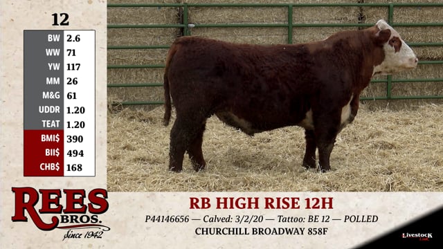 Lot #12 - RB HIGH RISE 12H