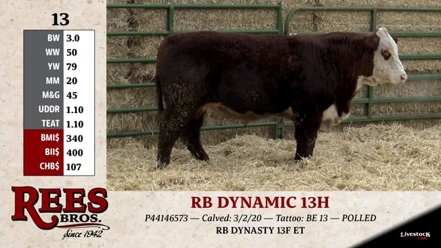 Lot #13 - RB DYNAMIC 13H