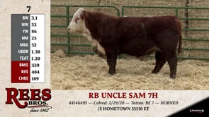 Lot #7 - RB UNCLE SAM 7H