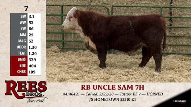 Lot #7 - RB UNCLE SAM 7H