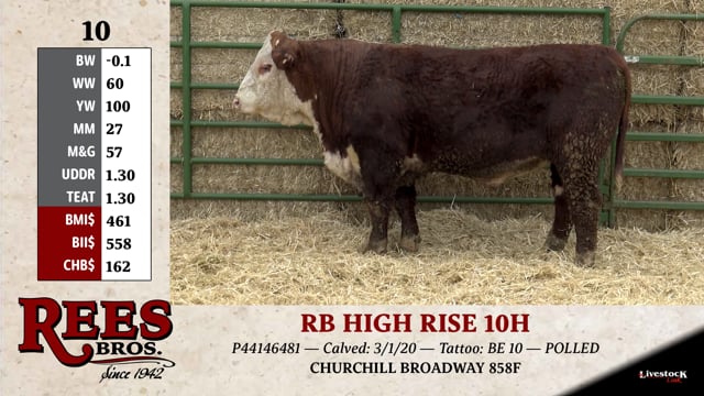 Lot #10 - RB HIGH RISE 10H