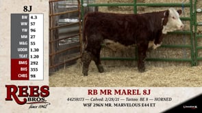 Lot #8J - RB MR MAREL 8J