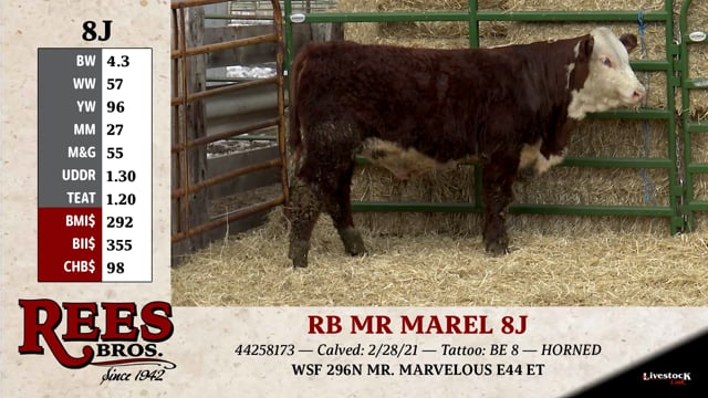 Lot #8J - RB MR MAREL 8J