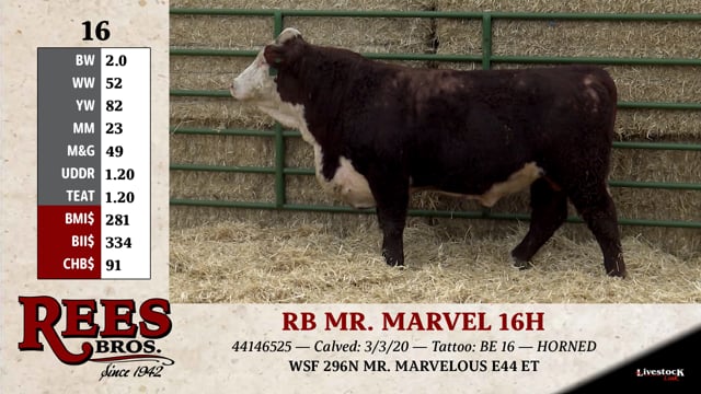 Lot #16 - RB MR. MARVEL 16H