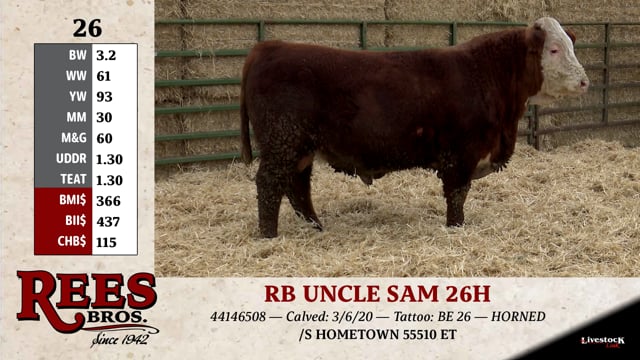 Lot #26 - RB UNCLE SAM 26H