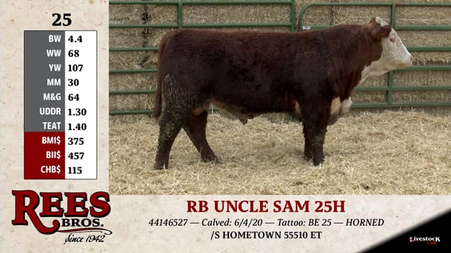 Lot #25 - RB UNCLE SAM 25H