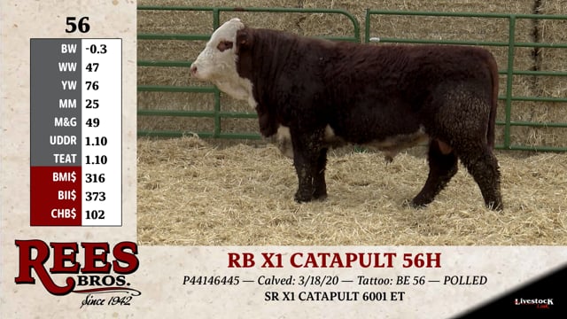 Lot #56 - RB X1 CATAPULT 56H