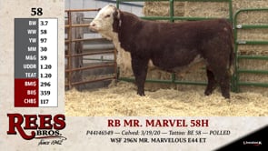 Lot #58 - RB MR. MARVEL 58H