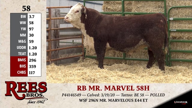 Lot #58 - RB MR. MARVEL 58H