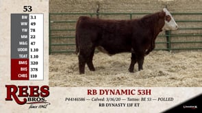 Lot #53 - RB DYNAMIC 53H