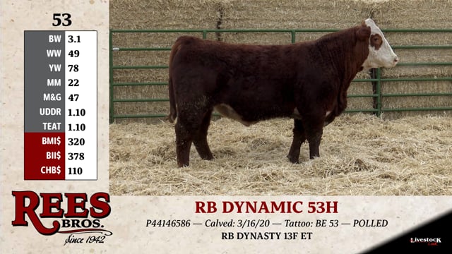 Lot #53 - RB DYNAMIC 53H
