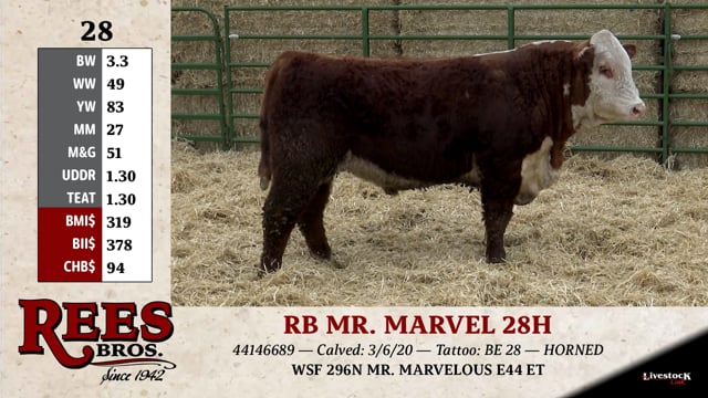 Lot #28 - RB MR. MARVEL 28H
