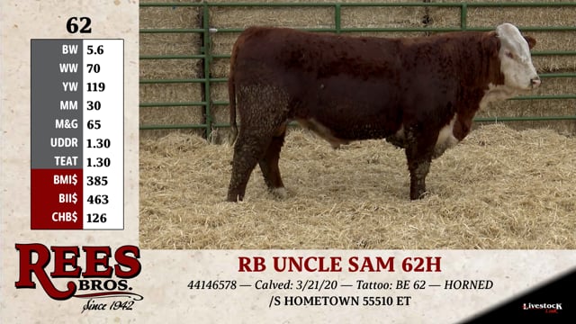 Lot #62 - RB UNCLE SAM 62H