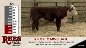 Lot #64 - RB MR. MARVEL 64H