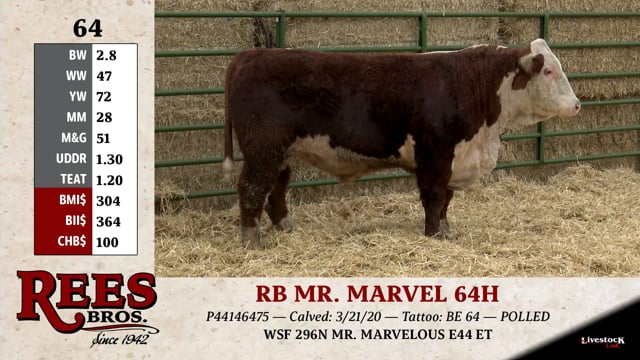 Lot #64 - RB MR. MARVEL 64H