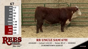 Lot #67 - RB UNCLE SAM 67H