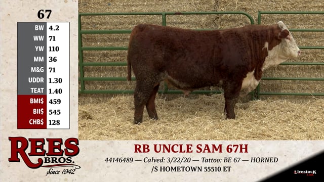 Lot #67 - RB UNCLE SAM 67H