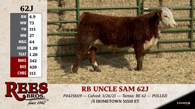 Lot #62J - RB UNCLE SAM 62J