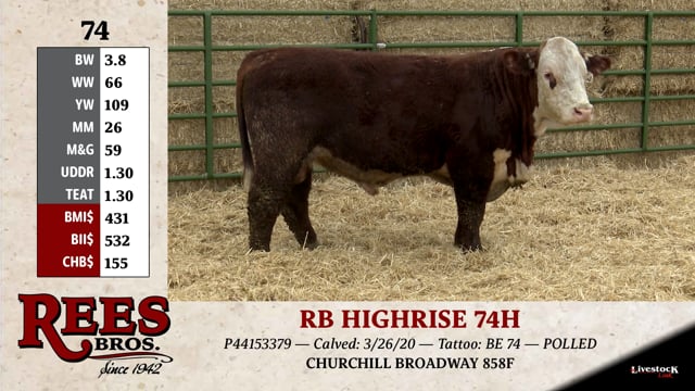 Lot #74 - RB HIGHRISE 74H