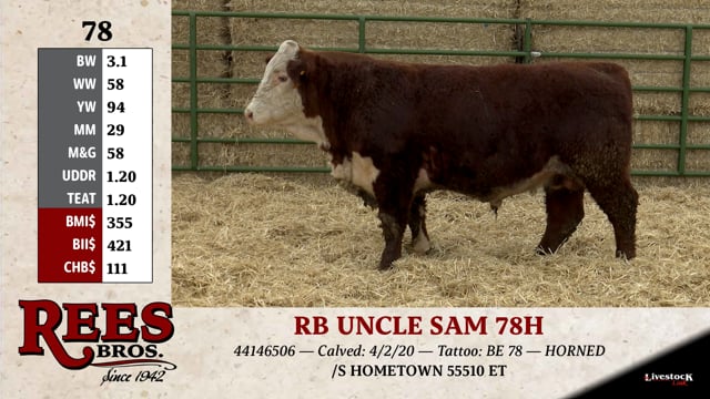 Lot #78 - RB UNCLE SAM 78H