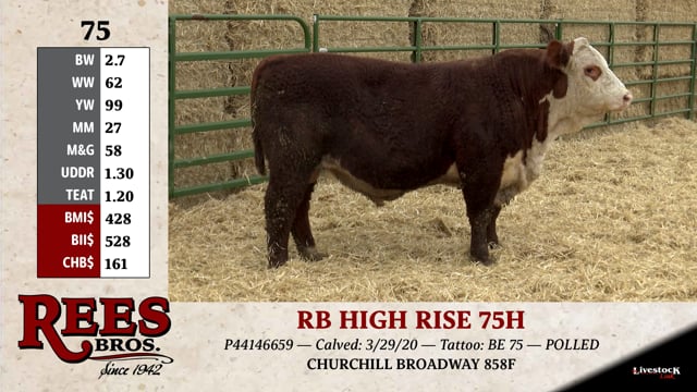 Lot #75 - RB HIGH RISE 75H