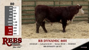Lot #80 - RB DYNAMIC 80H