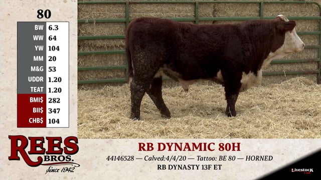 Lot #80 - RB DYNAMIC 80H