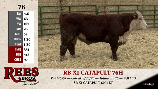 Lot #76 - RB X1 CATAPULT 76H