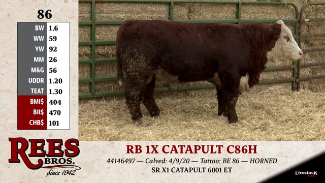 Lot #86 - RB 1X CATAPULT C86H