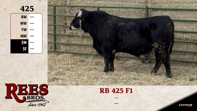 Lot #425 - RB 425 F1