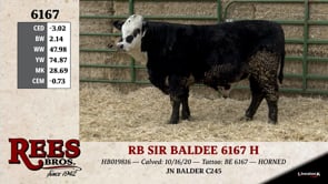 Lot #6167 - RB SIR BALDEE 6167 H