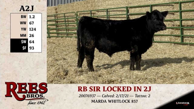 Lot #A2J - RB SIR LOCKED IN 2J
